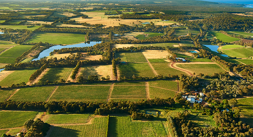 Moss Wood vineyard bird's eye view